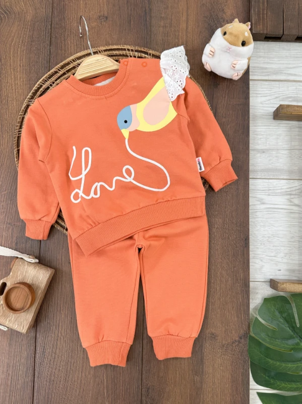 Kız Bebek Takım Kuş Desenli Omuz Tek Güpür Detaylı Mevsimlik Bebek Takım