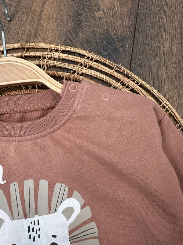 Aslan Baskılı  Çizgili Omuzdan Çıtçıtlı 2li Erkek Bebek Takım