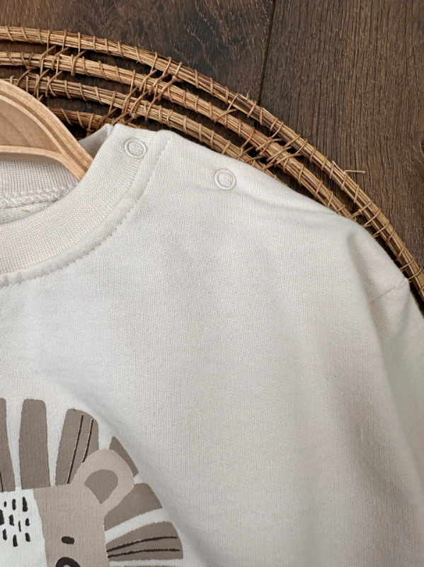 Aslan Baskılı  Çizgili Omuzdan Çıtçıtlı 2li Erkek Bebek Takım